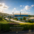 Antigua Island Life Printable Wall Art